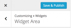 Customizing WIdgets Save & Publish